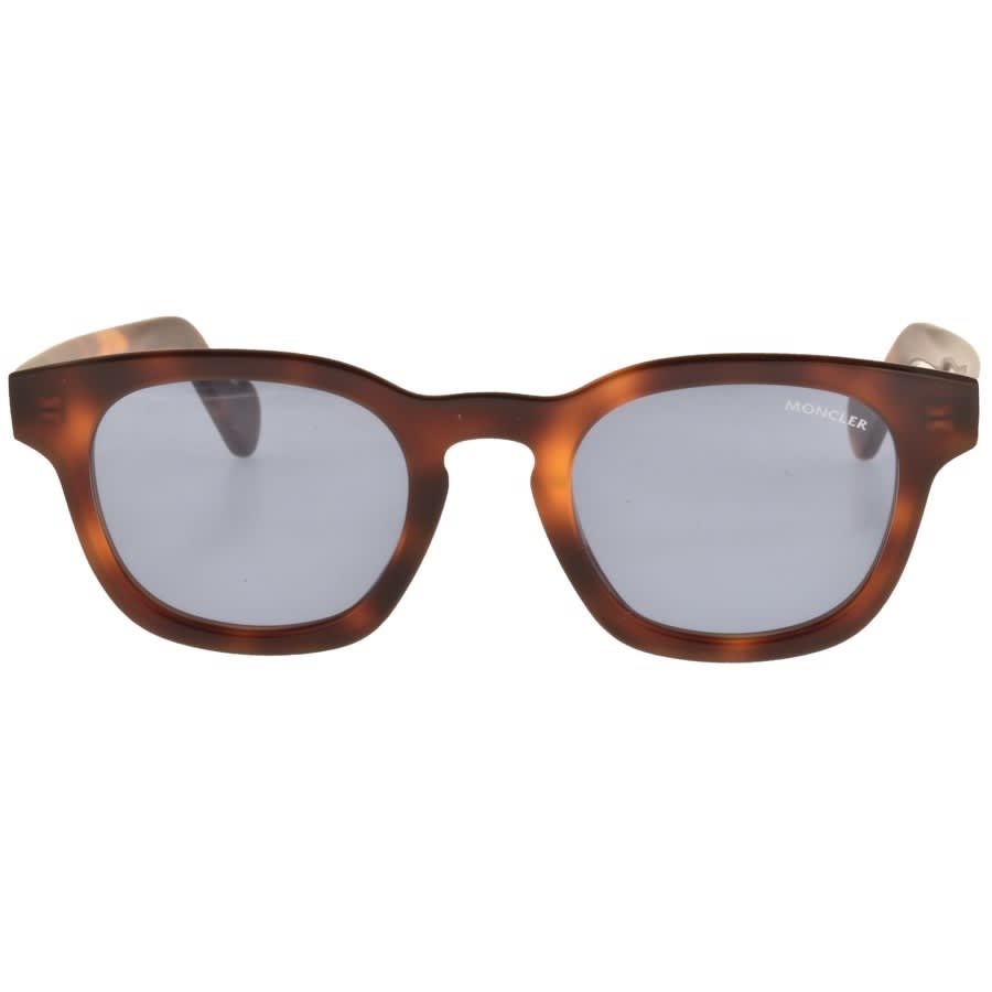 Alternative Image for ProductMoncler ML0072 Sunglasses Brown2