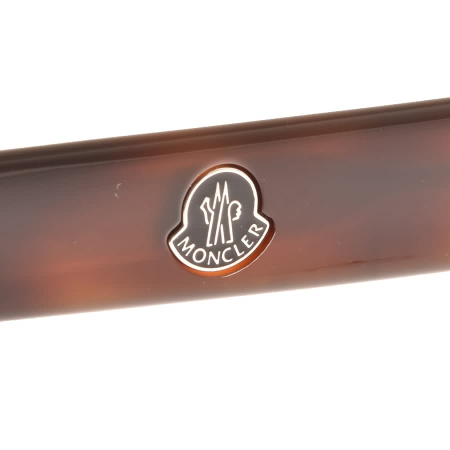 Alternative Image for ProductMoncler ML0072 Sunglasses Brown3