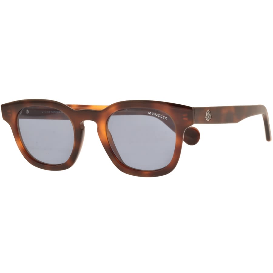 Alternative Image for ProductMoncler ML0072 Sunglasses Brown1