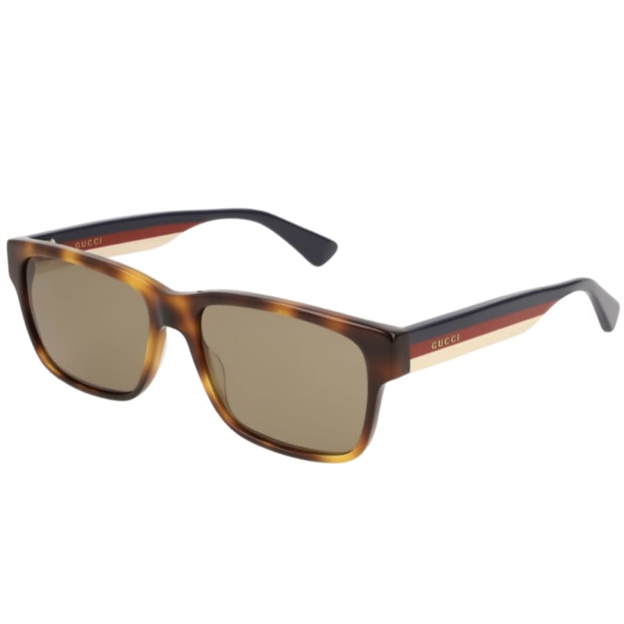 Alternative Image for ProductGucci GG0340S 010 Sunglasses Brown1