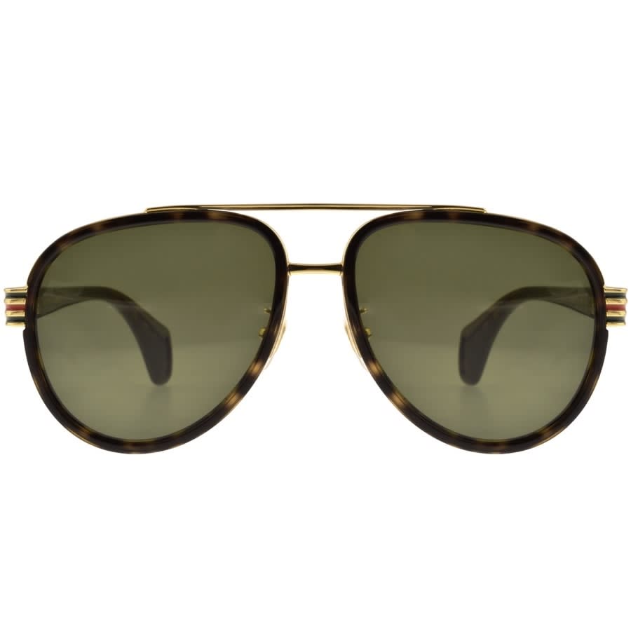 Alternative Image for ProductGucci GG0447S 004 Sunglasses Brown2