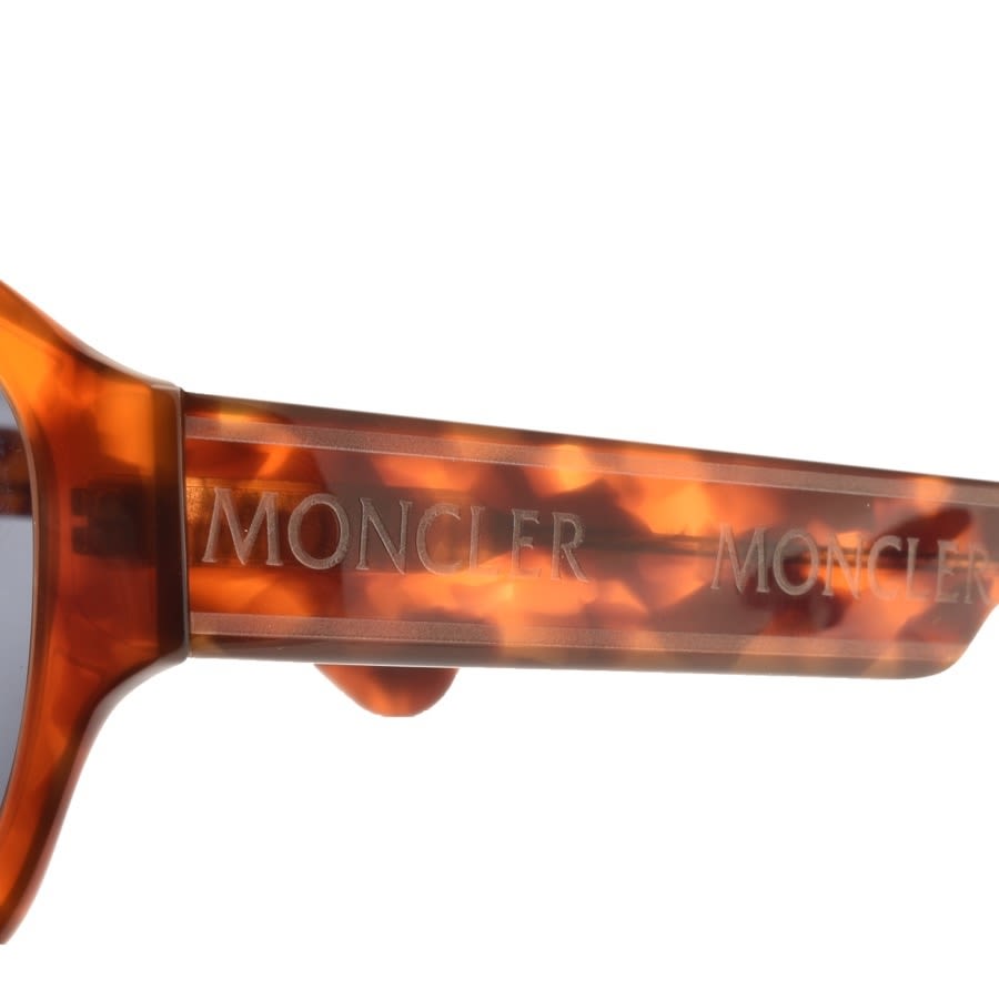 Alternative Image for ProductMoncler ML0096 56V Sunglasses Brown3