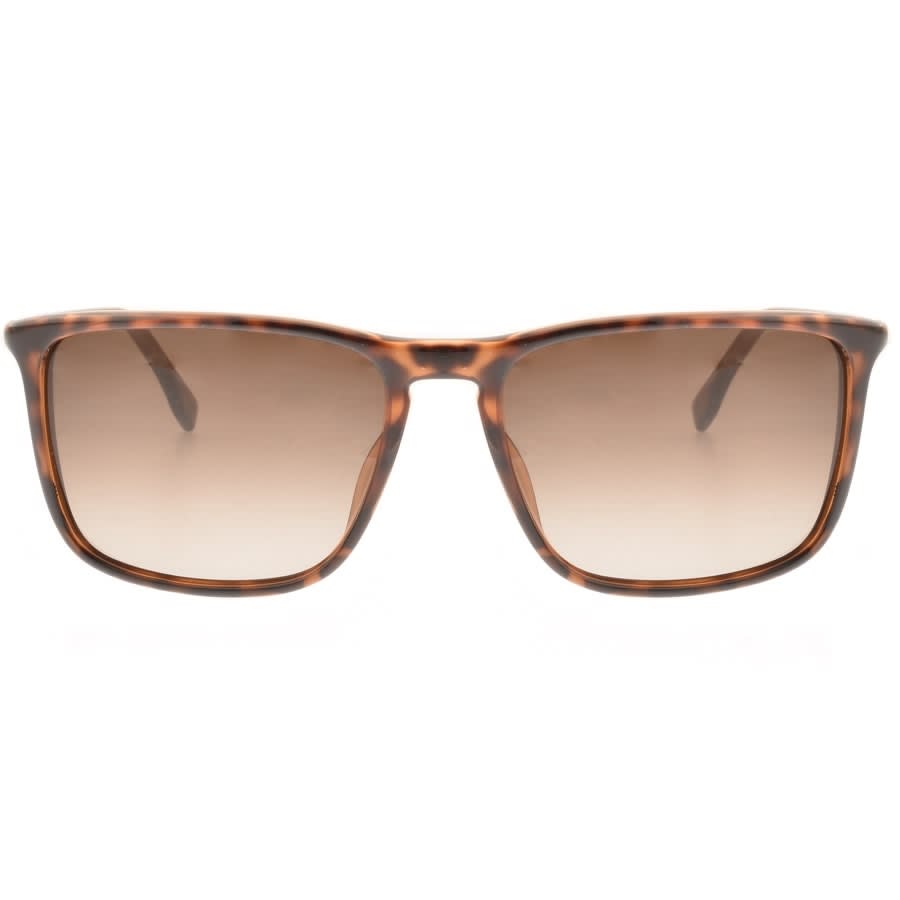 Alternative Image for ProductBOSS HUGO BOSS 0665 Sunglasses Brown2