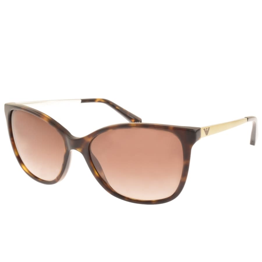 Emporio Armani EA4025 Sunglasses Brown 
