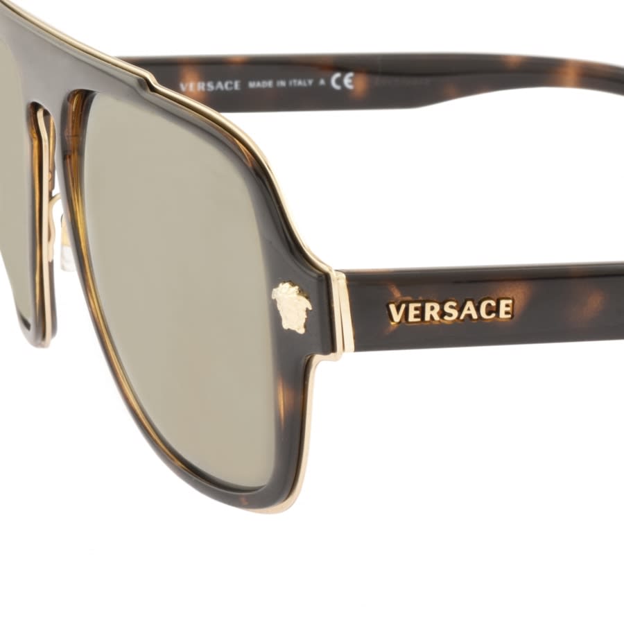 Alternative Image for ProductVersace Medusa Charm Sunglasses Brown3