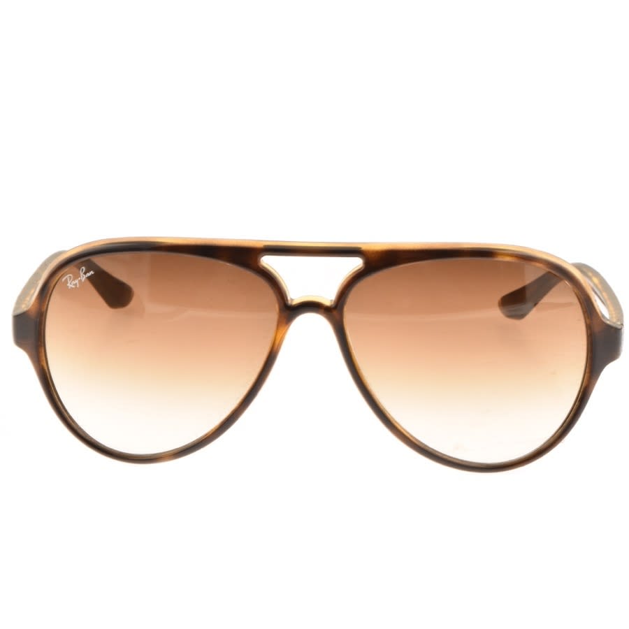 Alternative Image for ProductRay Ban 4125 Cats 5000 Sunglasses Tortoise Brown2