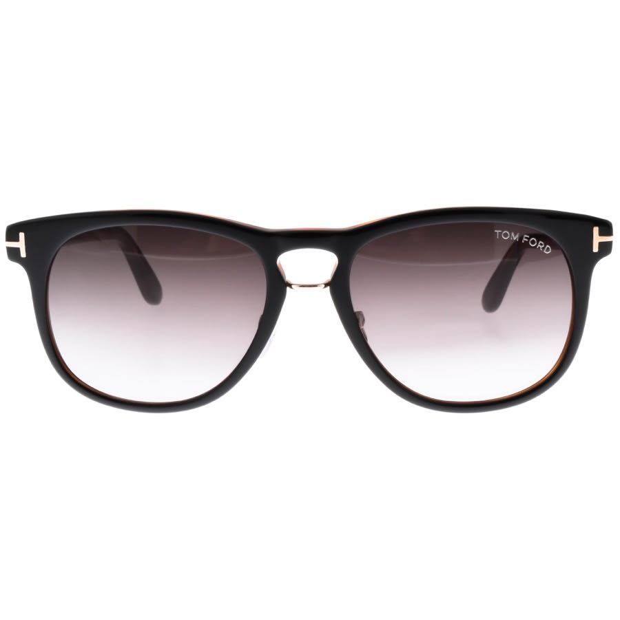 Alternative Image for ProductTom Ford Franklin Sunglasses Black2