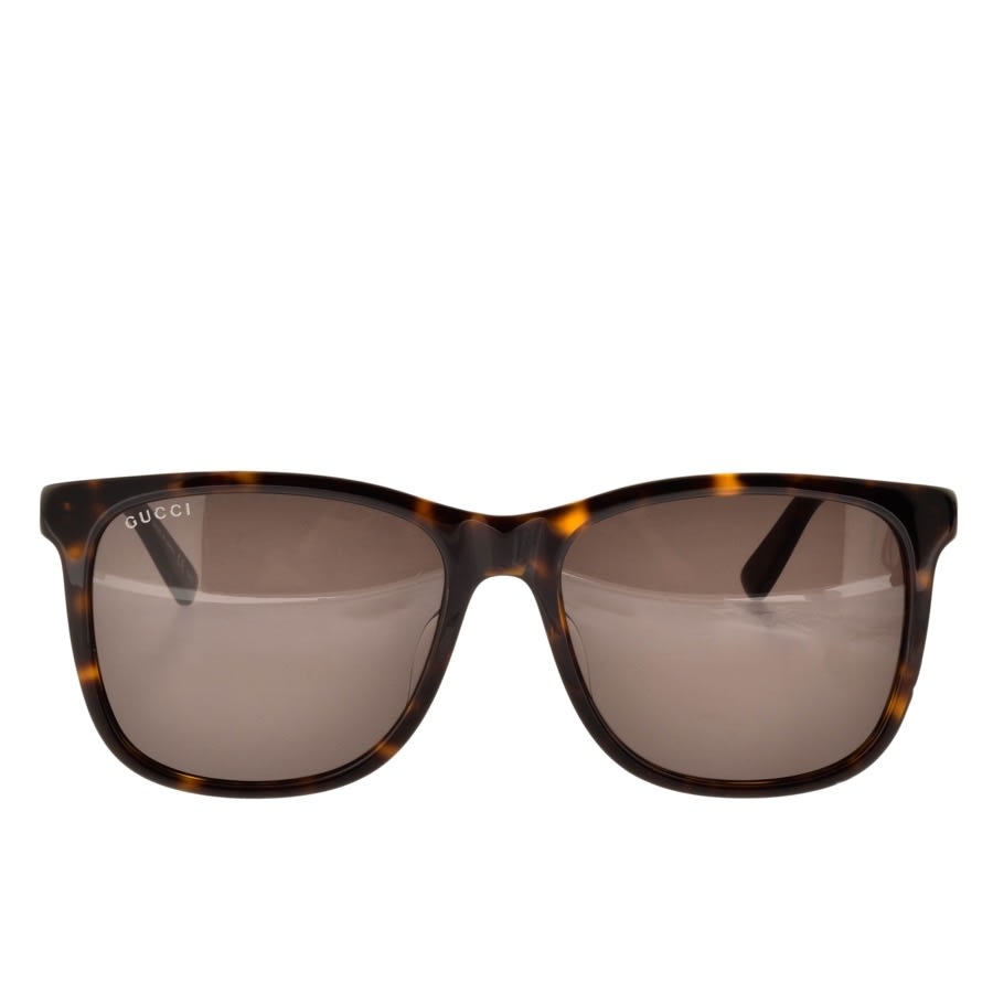 Alternative Image for ProductGucci GG0078SK Sunglasses Brown2