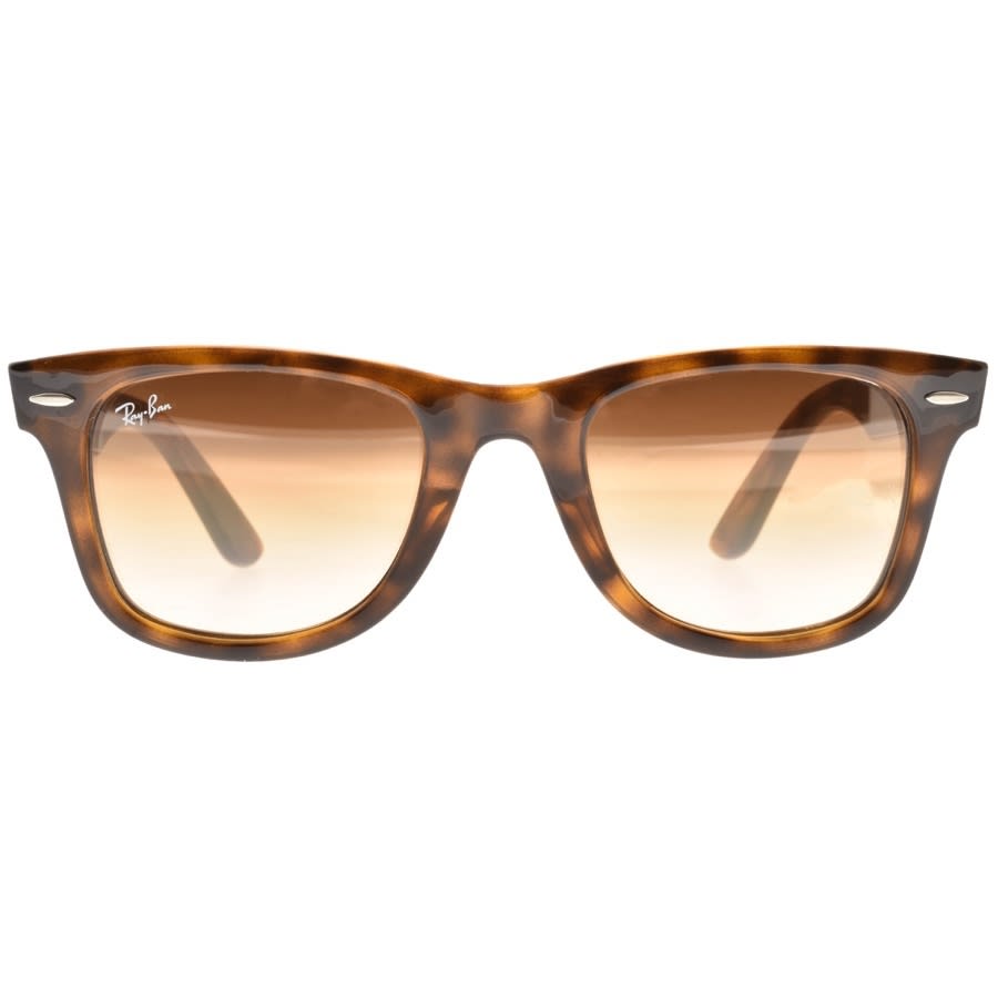 Alternative Image for ProductRay Ban 4340 Wayfarer Sunglasses Tortoise Shell2