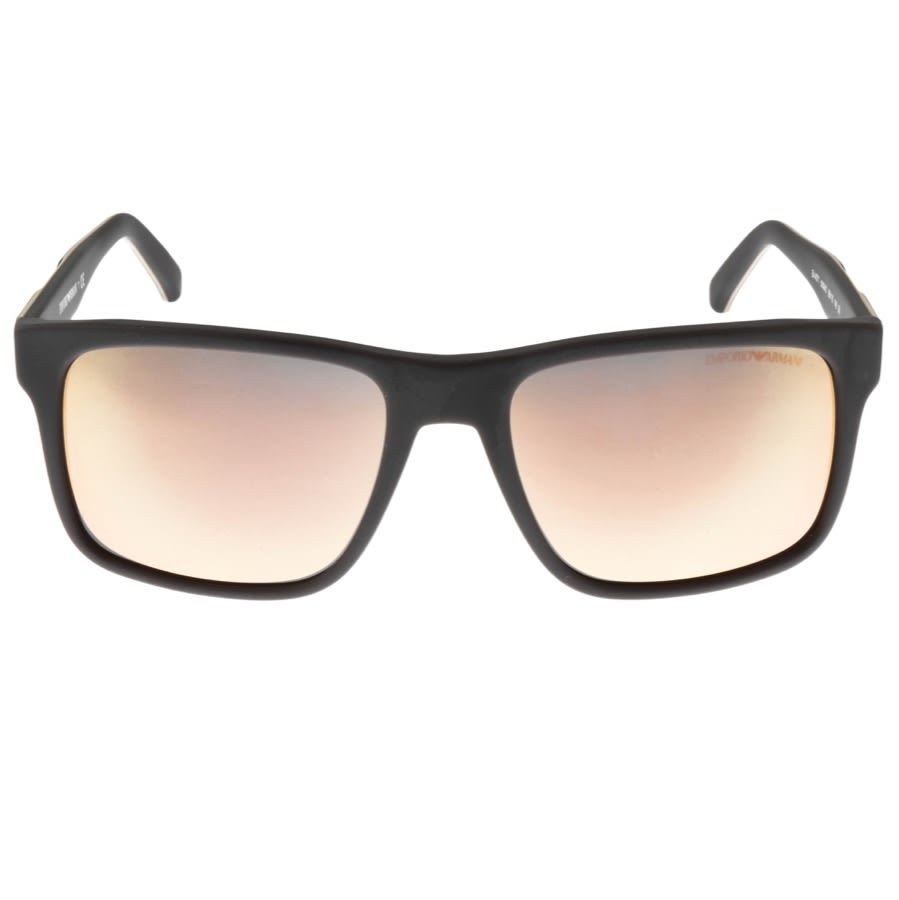 Alternative Image for ProductEmporio Armani EA4071 Sunglasses Brown2