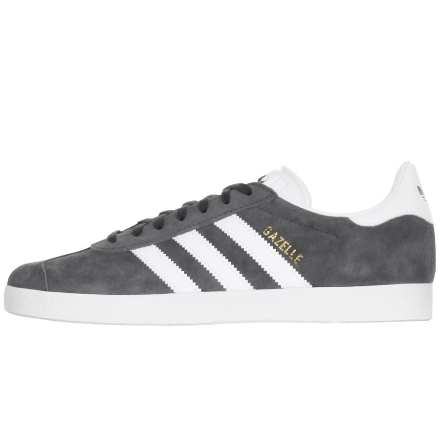 grey and white gazelles
