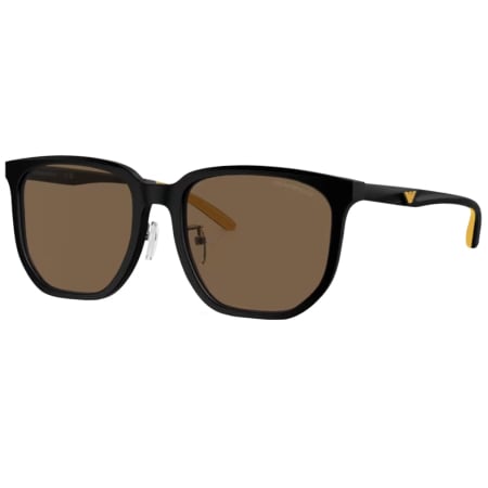 Product image for Emporio Armani 0EA4215D Sunglasses Brown
