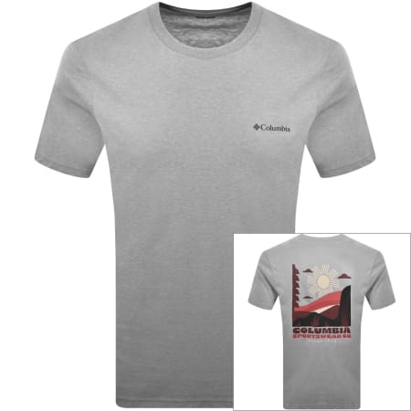 Product image for Columbia Outdoor Back Graphic T Shirt Grey