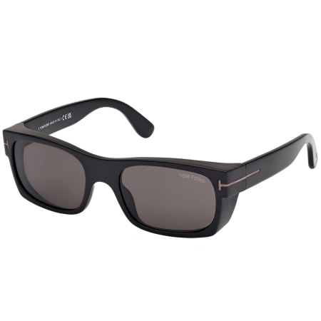 Product image for Tom Ford Juan Sunglasses Black