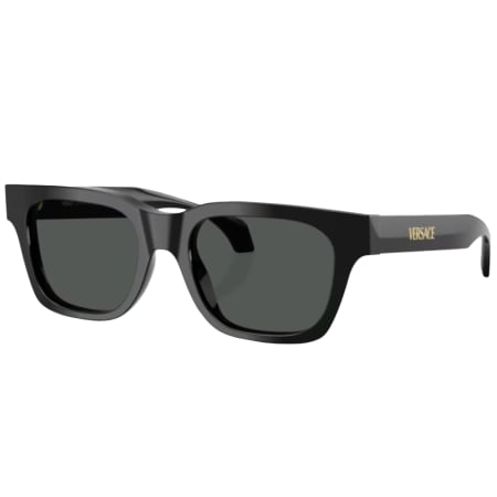 Product image for Versace 0VE4486 Sunglasses Black