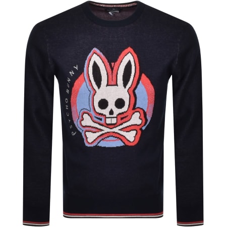 Product Image for Psycho Bunny Norbury Crew Neck Sweatshirt Navy