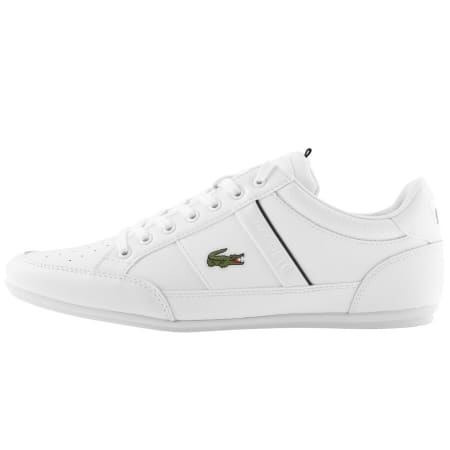 lacoste sale uk