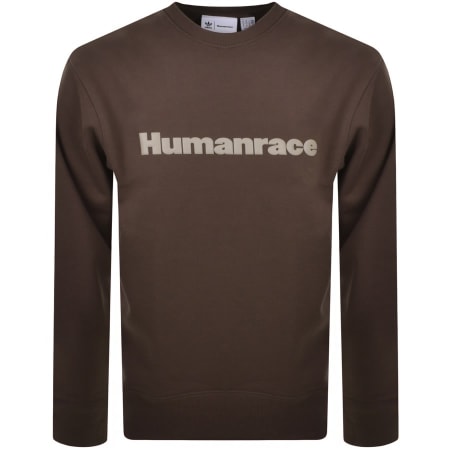 Product Image for Adidas X Pharrell Williams Sweatshirt Brown