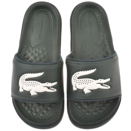 Product Image for Lacoste Croco Sliders Green