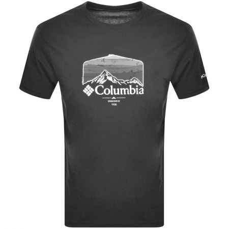 Product Image for Columbia Path Lake Graphic T Shirt Grey